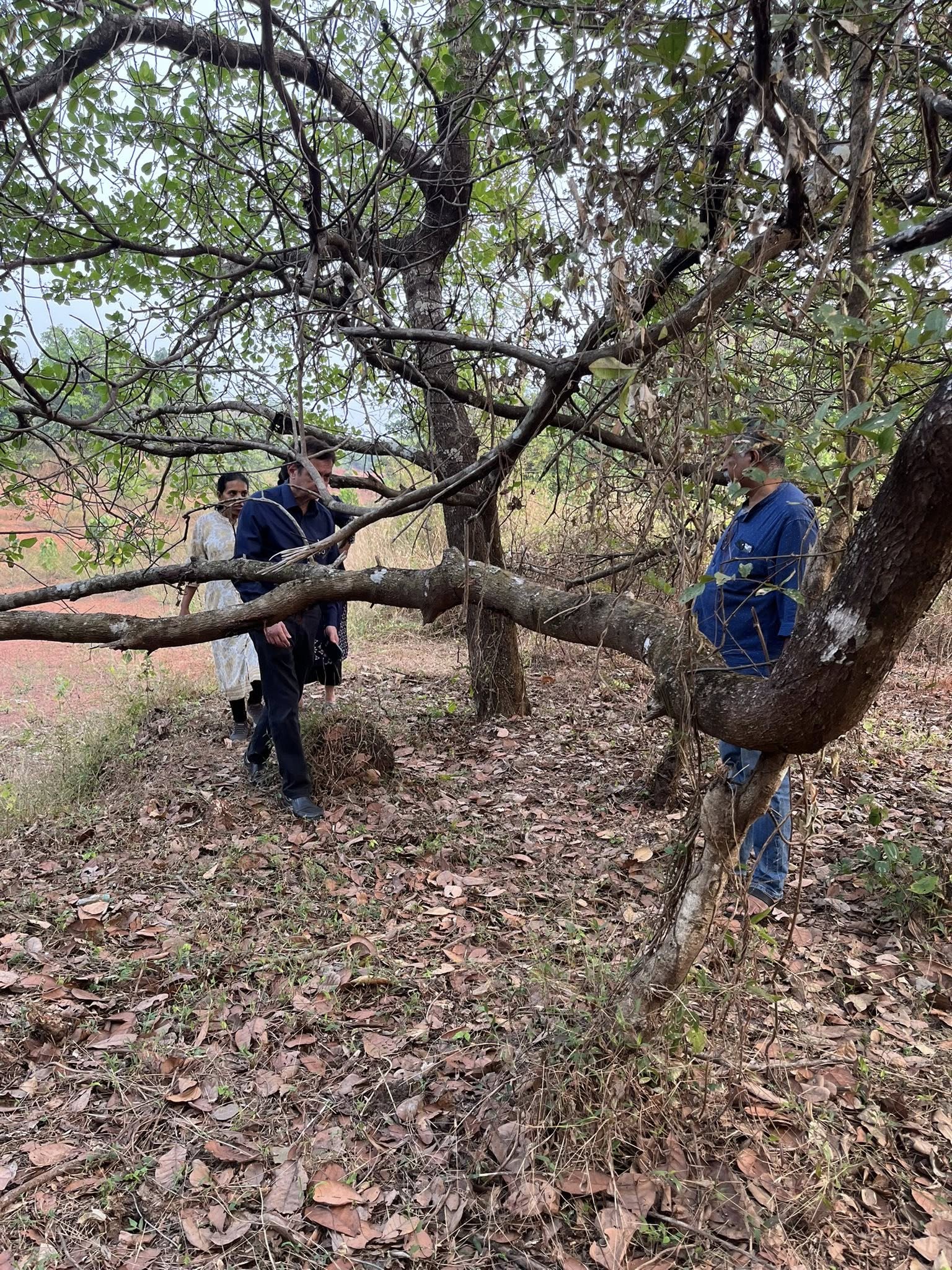 PAW new shelter land — photo 7