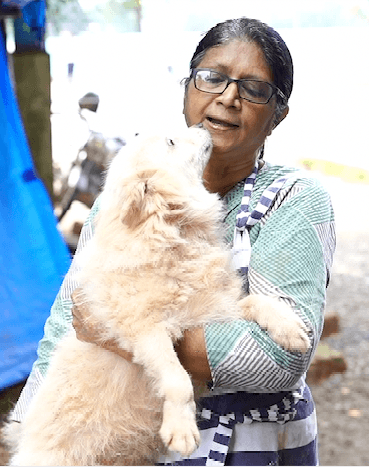 Medical Fund for Injured Street Animals